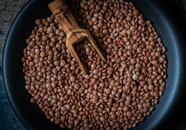 El nutricionista Luis Zamora revela el ingrediente que se debe echar a las lentejas para mejorar el aporte de proteína: «La tradición española...»