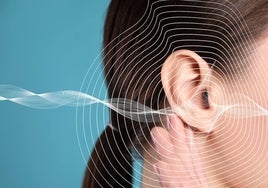 Descubren las neuronas que detectan el silencio