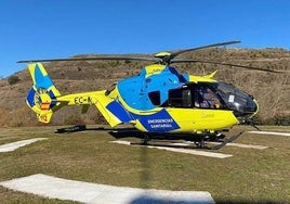 Una vaca cornea a un hombre de 64 años en una zona de monte de Porto (Zamora)