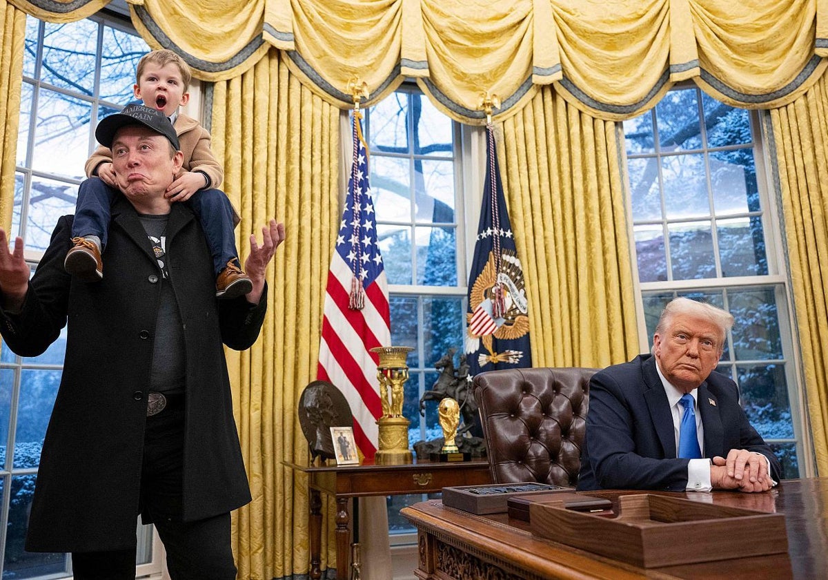 Lo que nos enseña la etología sobre Trump y otros machos dominantes