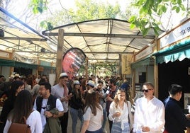 Feria del vino en Valencia 2025: horarios, precios y ubicación