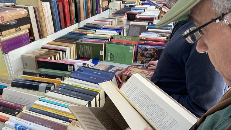 Un lector hojea algunos clásicos de la literatura