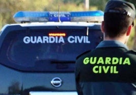 Más de 500 personas de toda Europa se concentran en una fiesta 'rave' en Soria