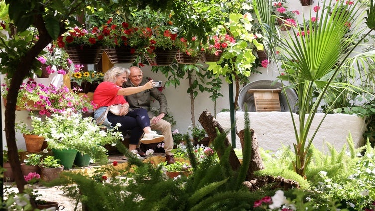 Patios conventuales de Córdoba: la flor que brota del soplo de Dios