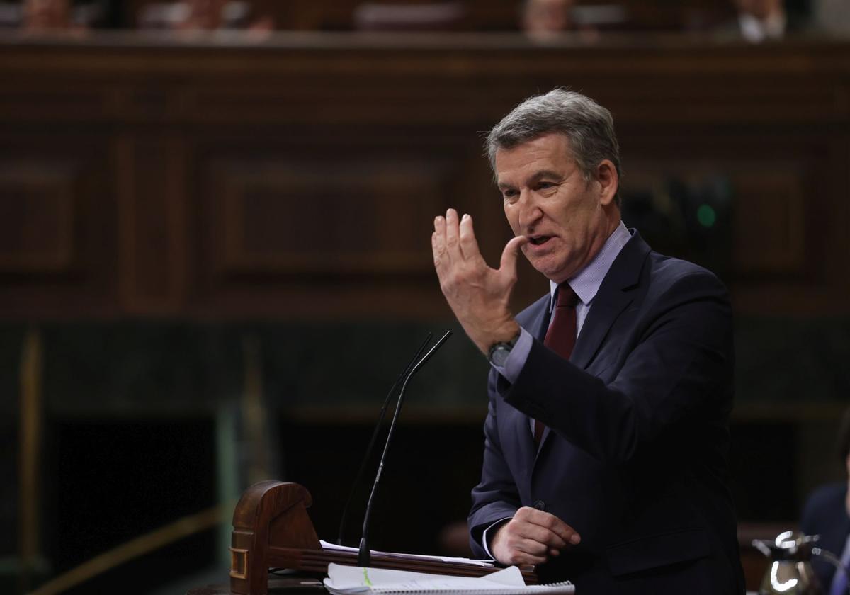 Alberto Núñez Feijóo, durante una intervención en el Congreso