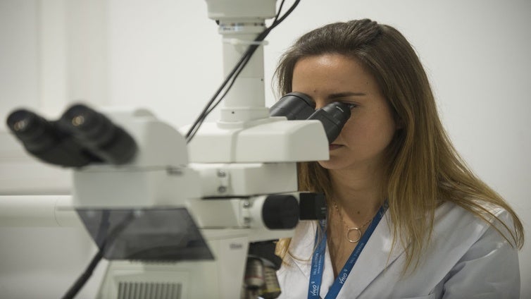 Castilla-La Mancha consolida el Programa Investigo con cinco millones para la próxima convocatoria
