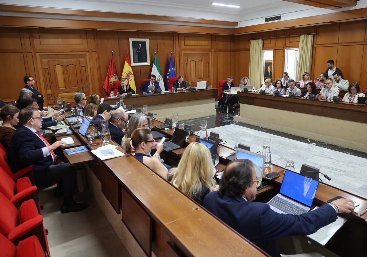 Panorámica del Pleno del Ayuntamiento de Córdoba de este mes de mayo