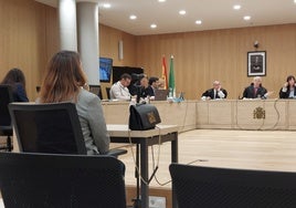 La contable del Córdoba CF SAD constata que León «dejó un agujero de 1,3 millones» y «bastantes transferencias de facturas sin justificar»
