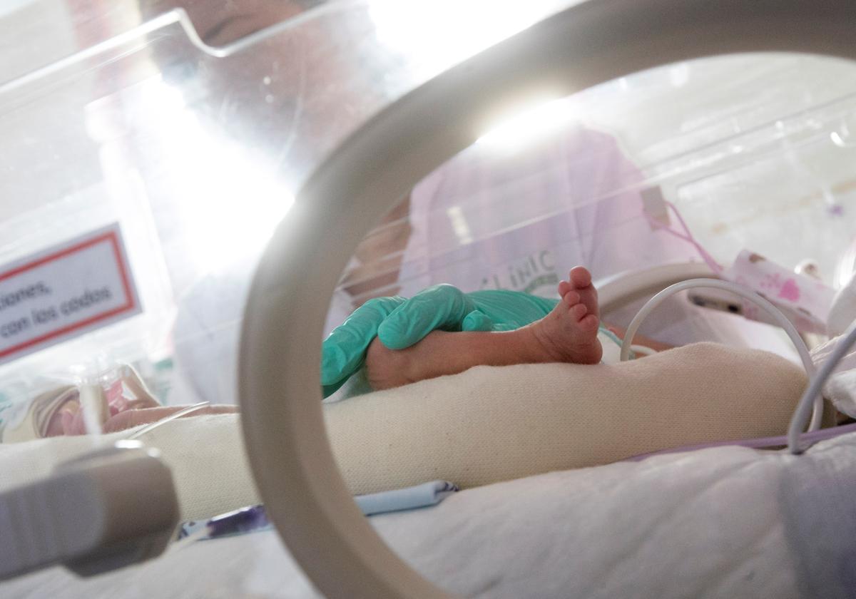 Un bebé en una incubadora