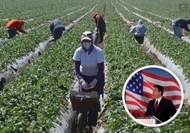 El gobernador de Florida propone que los niños de 14 años puedan trabajar ante la falta de mano de obra inmigrante: «¿Qué hay de malo?»
