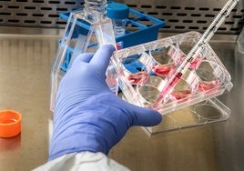 El test de sangre que avisa si reaparece el melanoma