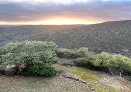 La carretera más bonita de Huelva que guarda secretos mineros: ¿Te atreves a descubrirla?
