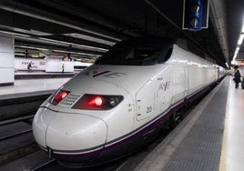 El Ayuntamiento de Cádiz pedirá al Gobierno estudios para traer el AVE a la Bahía